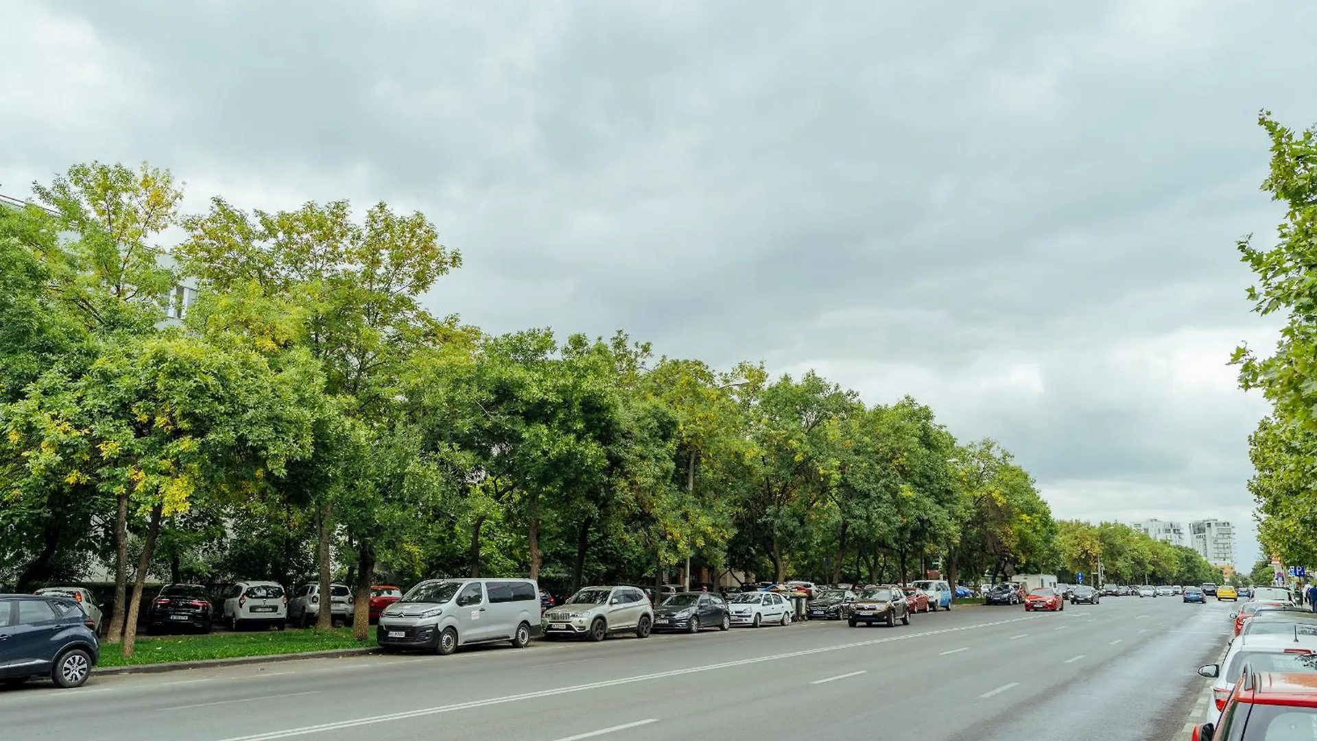 Herastrau Park Studio - Bucharest Business District - Arancia