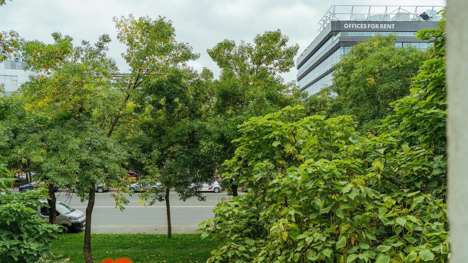 Apartmán Herastrau Park Studio - Bucharest Business District - Arancia